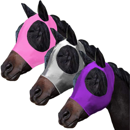 Horse Fly